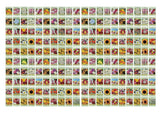 Black Duck Brand: 200 Flower Seed Packets – 15+ Varieties, Heirloom & Non-GMO