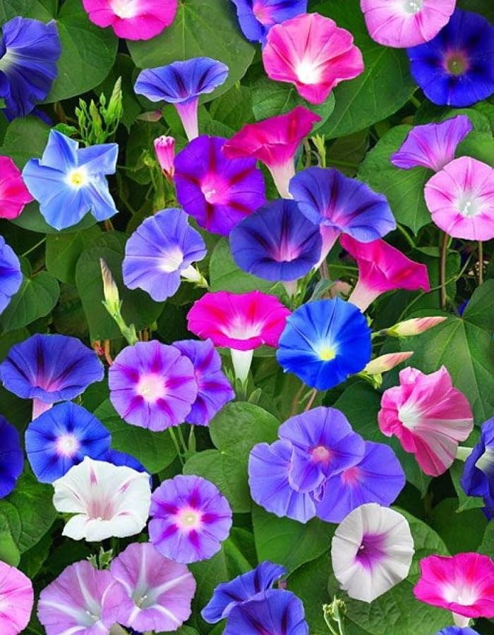 Pollinator-friendly blooms attract bees and butterflies to your garden
