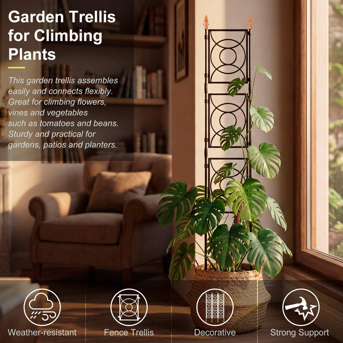 24 Rifny trellis at 6.17 ft height supports tall climbers.