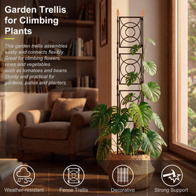 24 Rifny trellis at 6.17 ft height supports tall climbers.