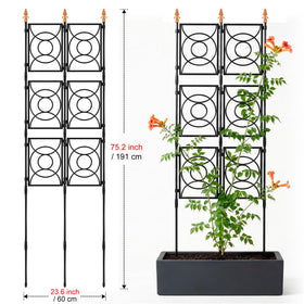 Indoor outdoor 24 Rifny trellis with flexible compact design