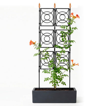 24 Rifny trellis outdoor six point two feet tall supporting climbing roses and clematis