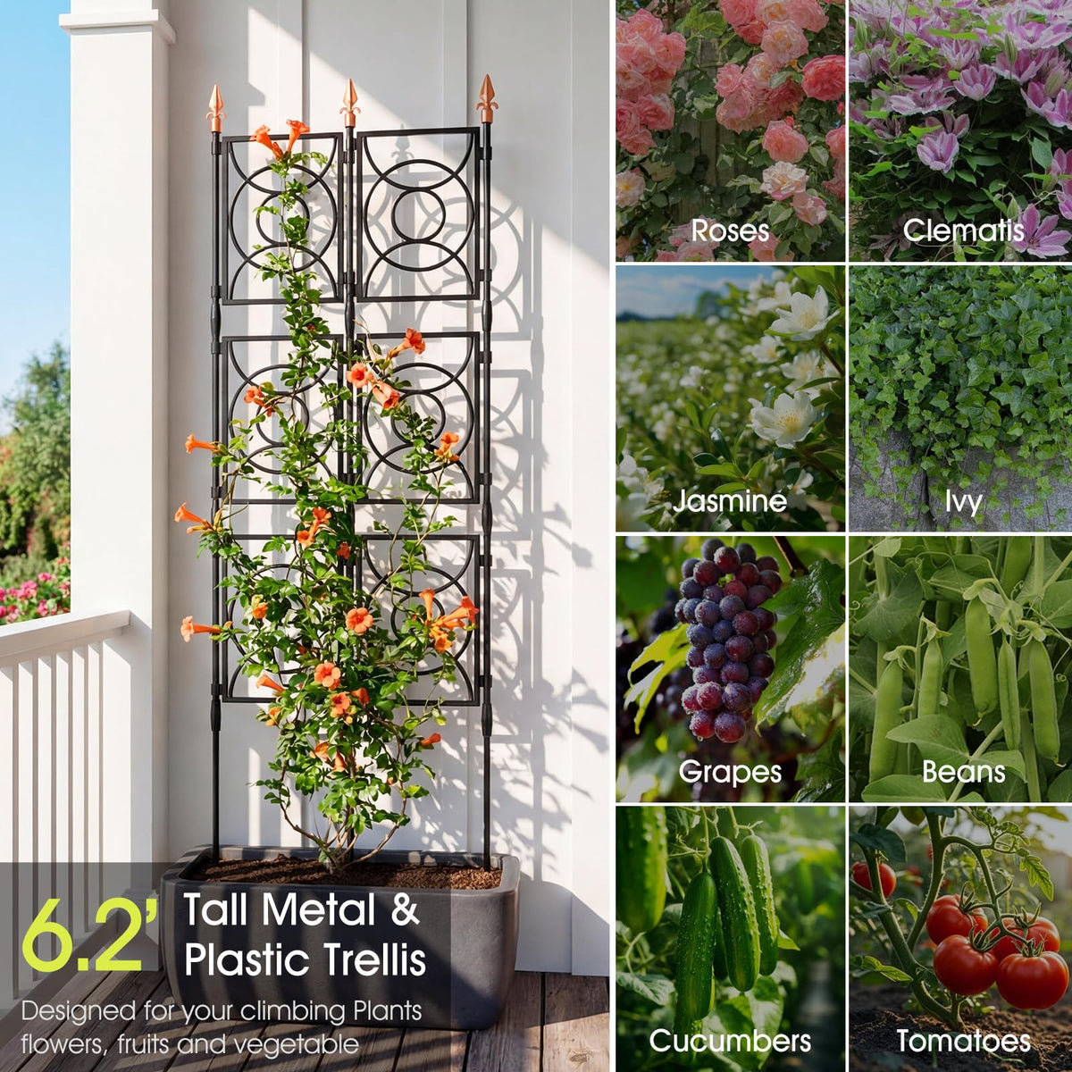24 Rifny trellis supporting roses, cucumbers, and other vines