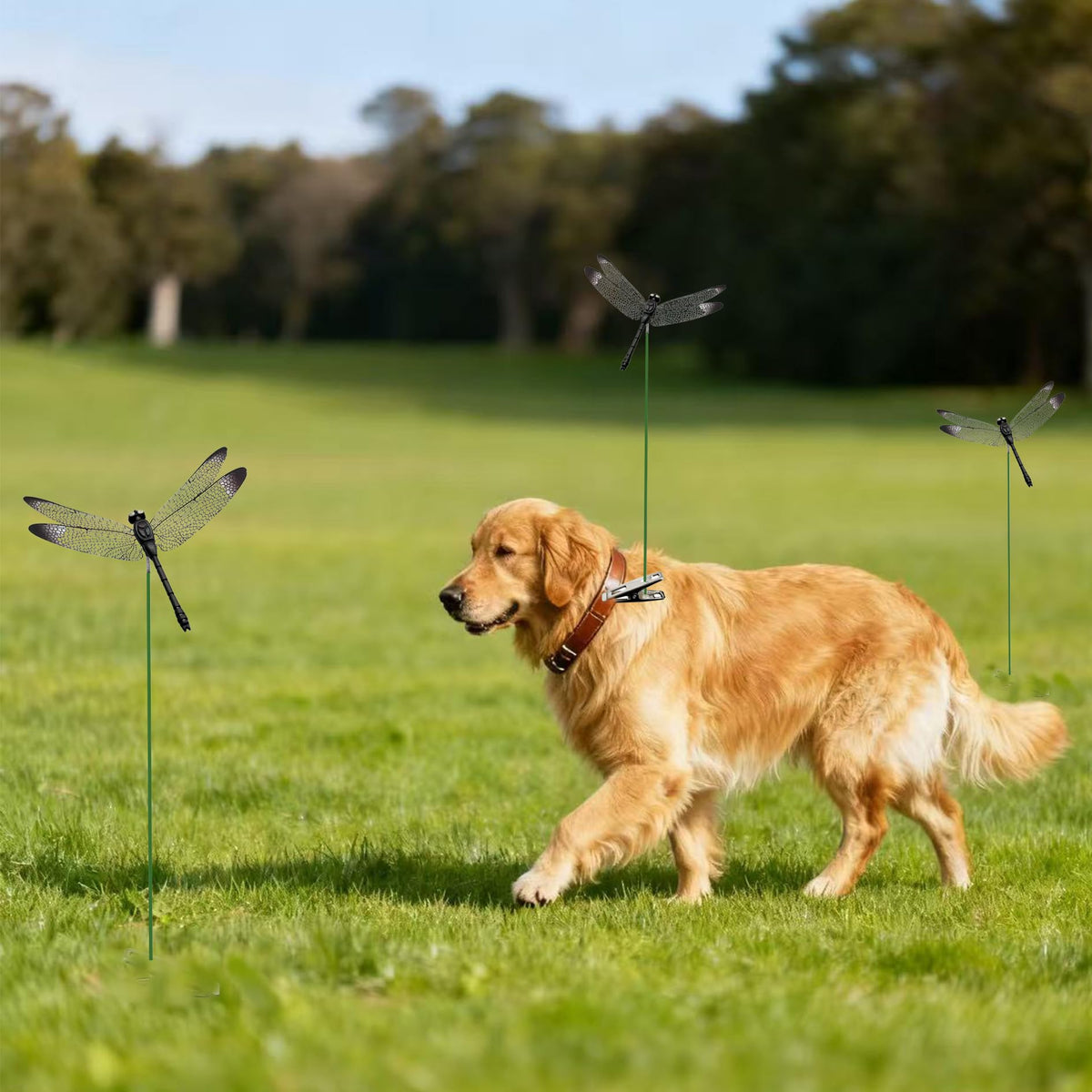 3DVOLTMATE dragonfly clip on outdoor patio decor catches light and shadows.