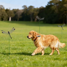3DVOLTMATE dragonfly clip on outdoor patio decor catches light and shadows.