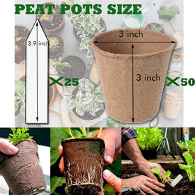3T GROUP biodegradable seedling pots made from natural pulp fibers
