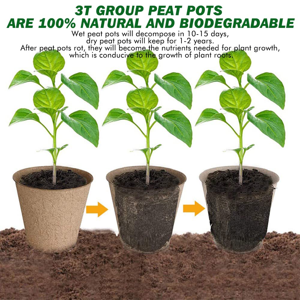 3T GROUP mini disposable peat pots ready for quick seedling start