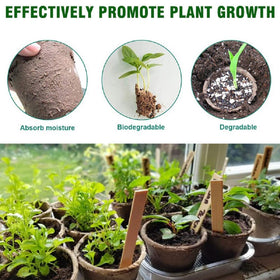 3T GROUP versatile starter pots suit herbs vegetables and flowers