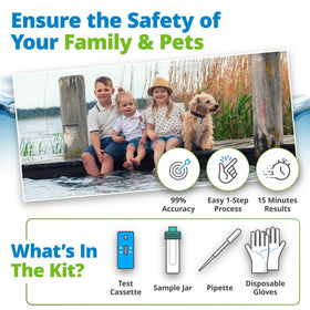 5Strands instruction card guiding fast at-a-glance testing