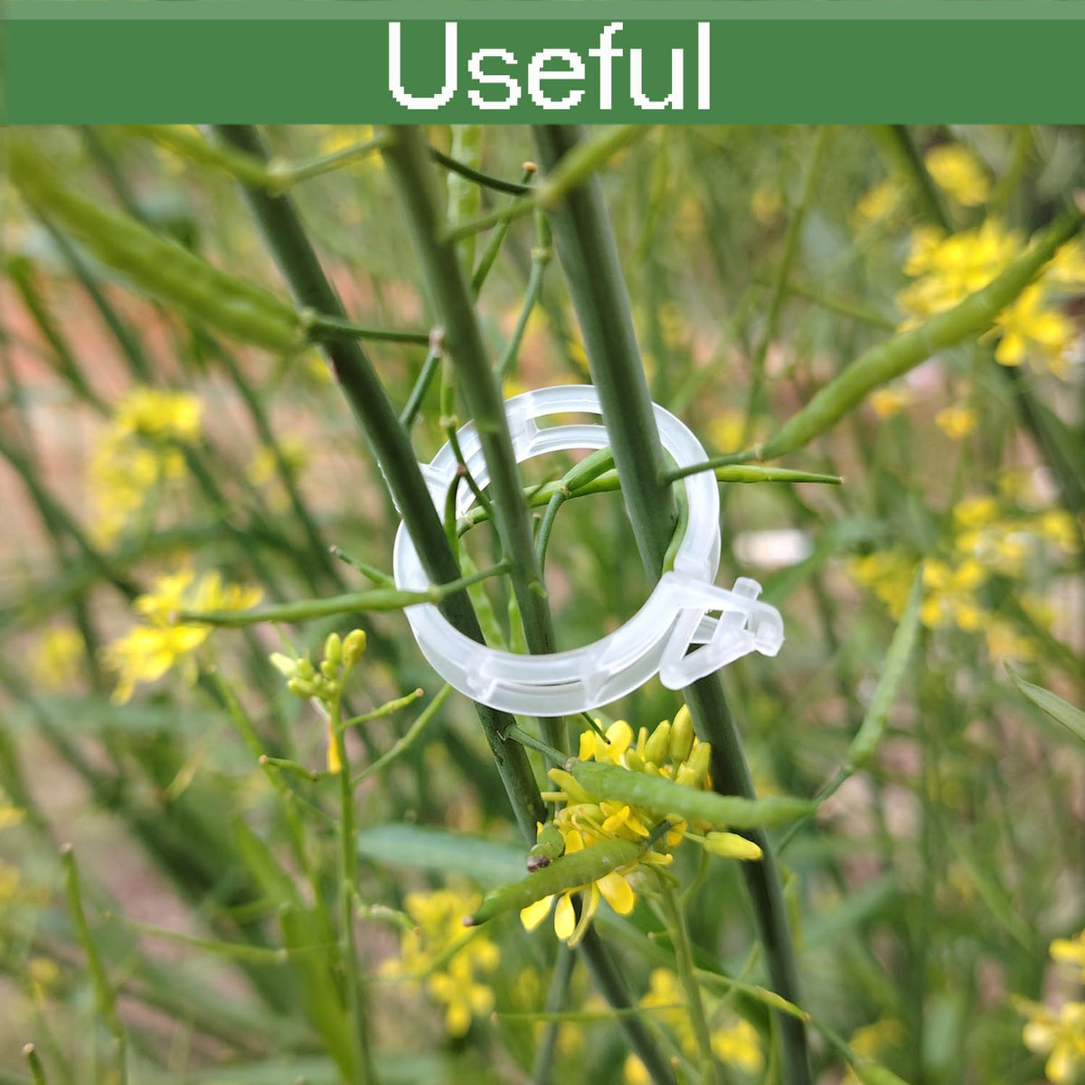 7Queen tomato clip for garden support keeps vines tidy and reduces fruit bending.