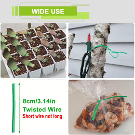 7Queen twist ties secure stems and vines along the supports.