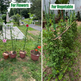 7Queen garden stakes kit is versatile for indoor and outdoor vegetable beds.
