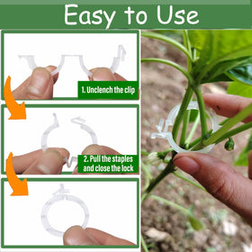 7Queen climbing-plants trellis clip aids vine training for vertical gardening.
