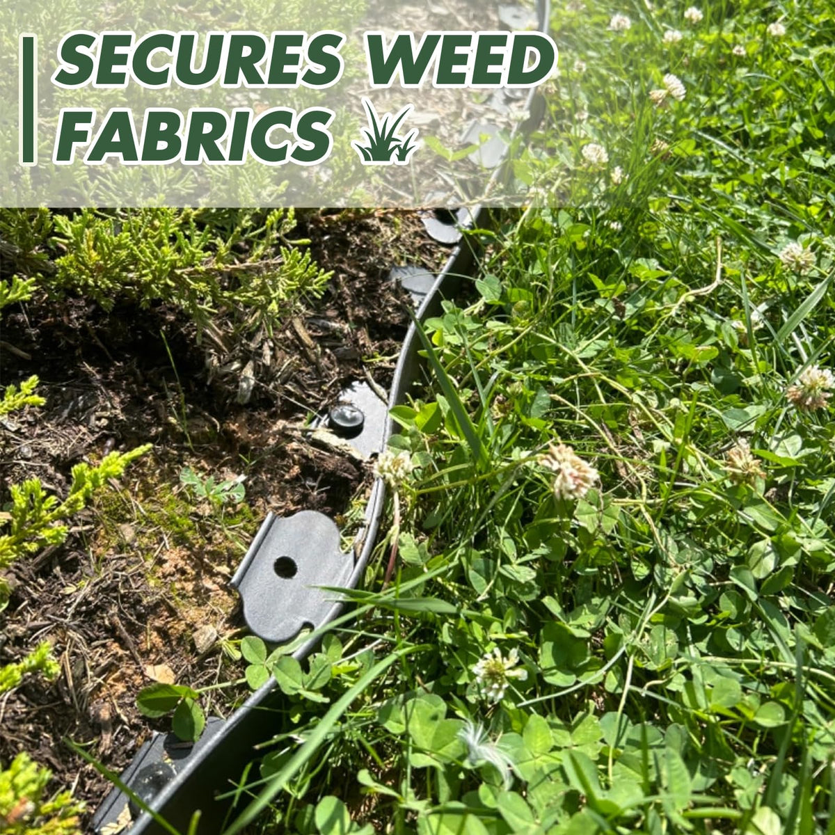 9th Shop edging spikes and anchors securing border in ground.