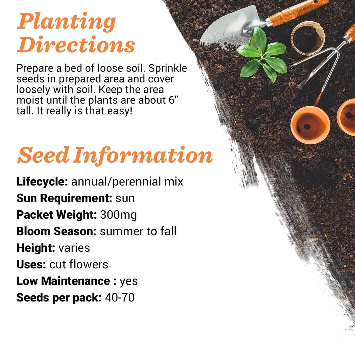 Seed packets attracting bees and butterflies for garden color
