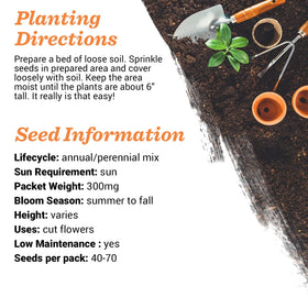 Seed packets attracting bees and butterflies for garden color
