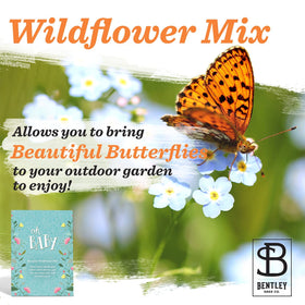 Woodland themed Bentley Seed Co baby shower card attached to seed packet