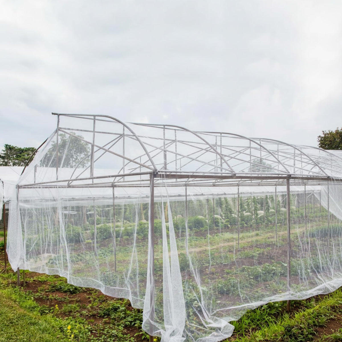 Yoojahow multi-use outdoor protection netting adapts to beds and trees