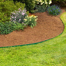 A ANLEOLIFE edging along a pathway creates crisp border lines.