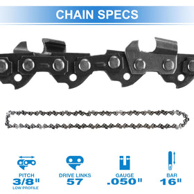 AAAQQ quick-release latch and pre-attached tensioner simplify setup.