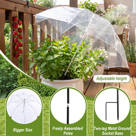 Abbylike transparent cover lets in light while protecting foliage from weather.