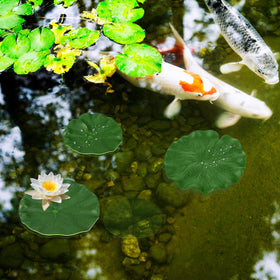 Abeillo medium 13cm lily pad brightens fountains and ponds.