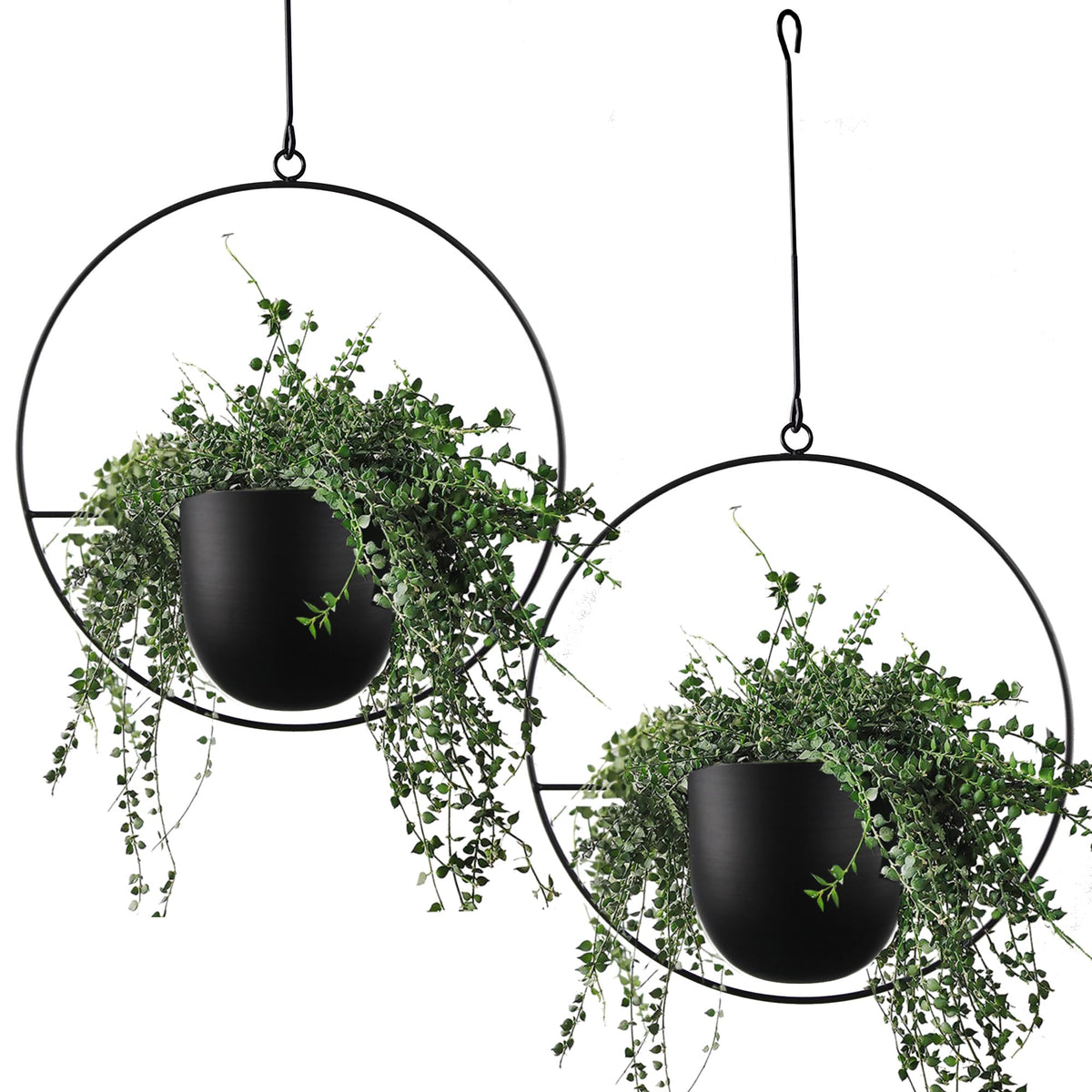 ABETREE hanging planters with hooks and chains in black for indoor and outdoor decor.