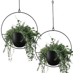 ABETREE hanging planters with hooks and chains in black for indoor and outdoor decor.