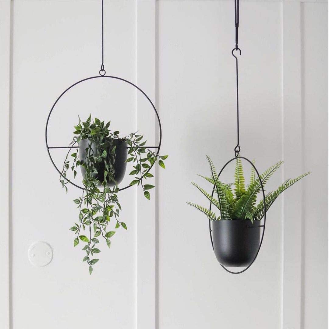 Wall-mounted hanging planters in black offering space-saving display.