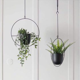 Wall-mounted hanging planters in black offering space-saving display.