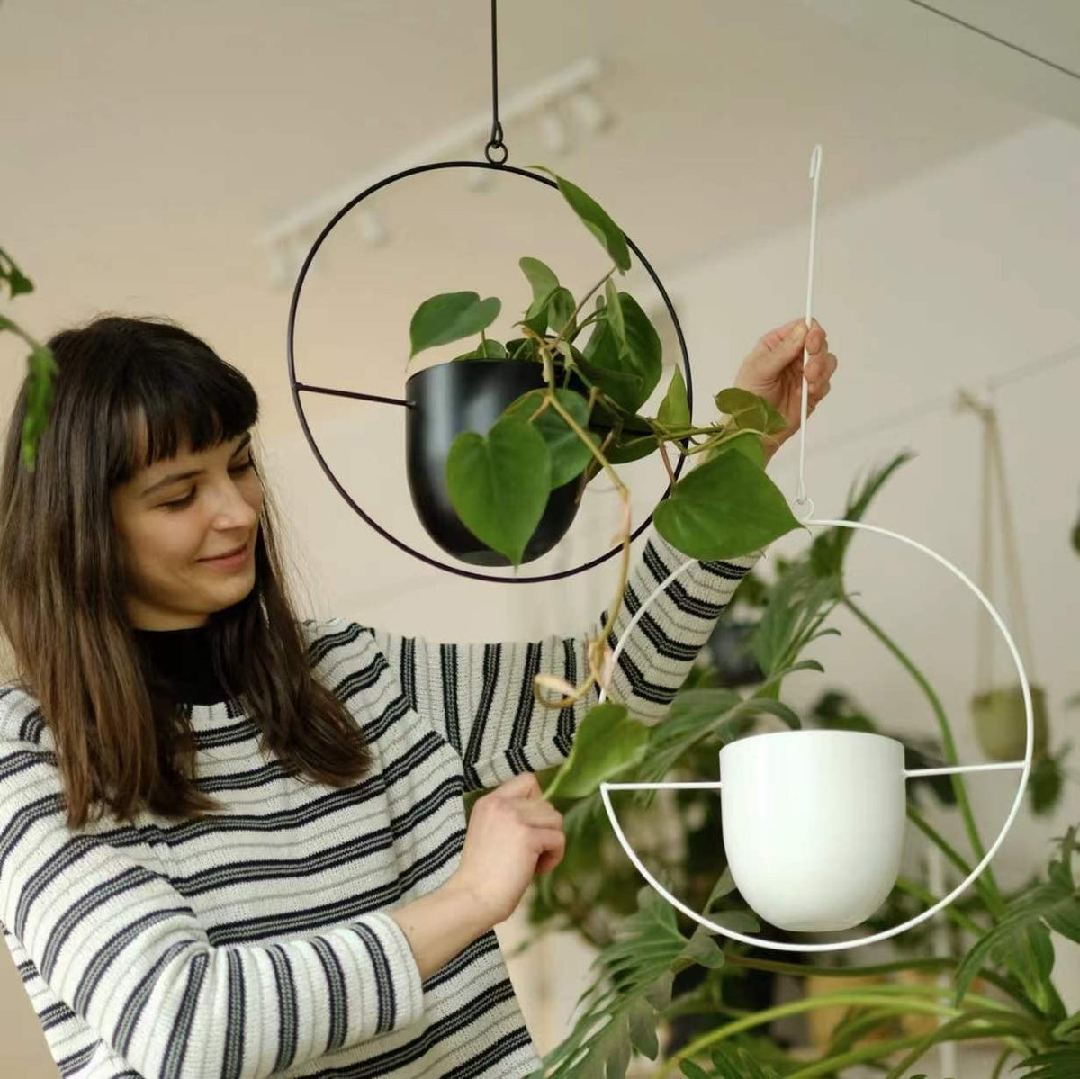 Indoors scene showing versatile hanging planters for bedroom and office.