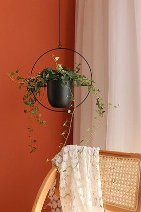 Detail showing absence of drainage holes in pots for moisture control.