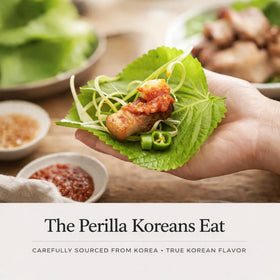ABIDE GARDEN perilla seeds in container garden setup for small spaces