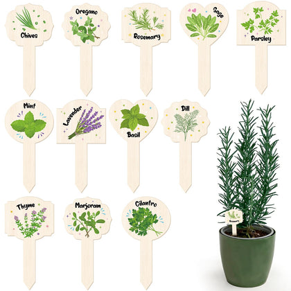 Abilat 24-pcs plant label signs offer clear garden labeling.