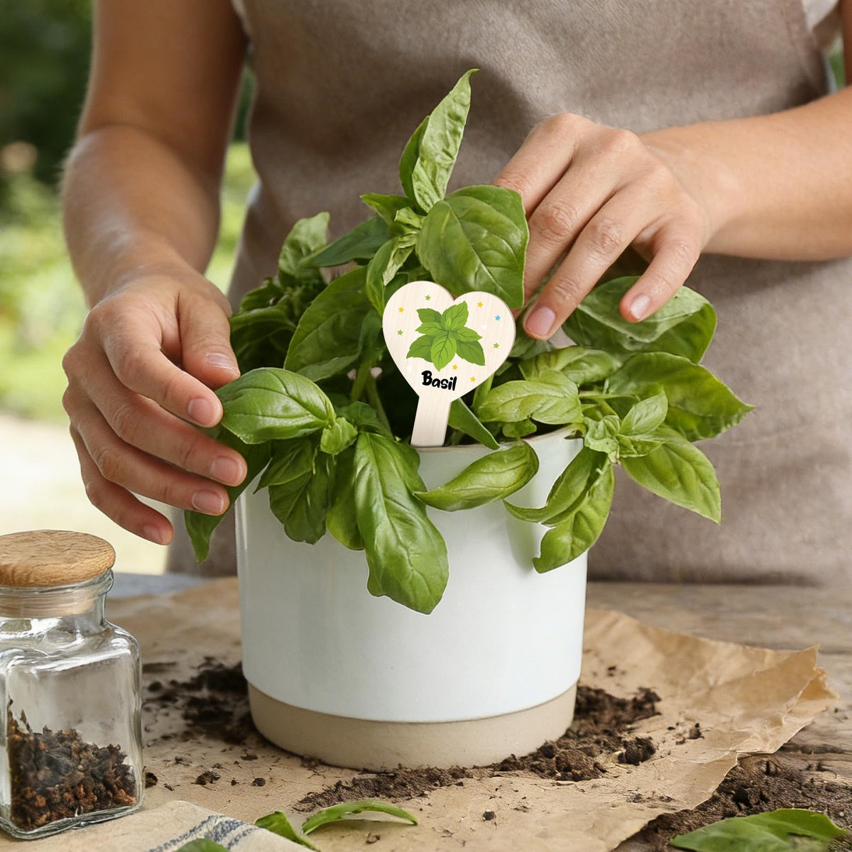 Abilat ideal for indoor and outdoor labeling of herbs, flowers, and veggies.
