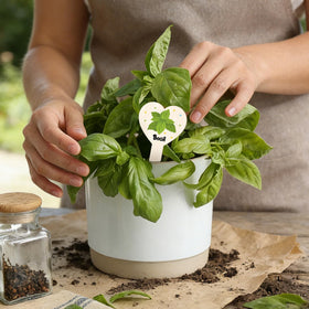Abilat ideal for indoor and outdoor labeling of herbs, flowers, and veggies.