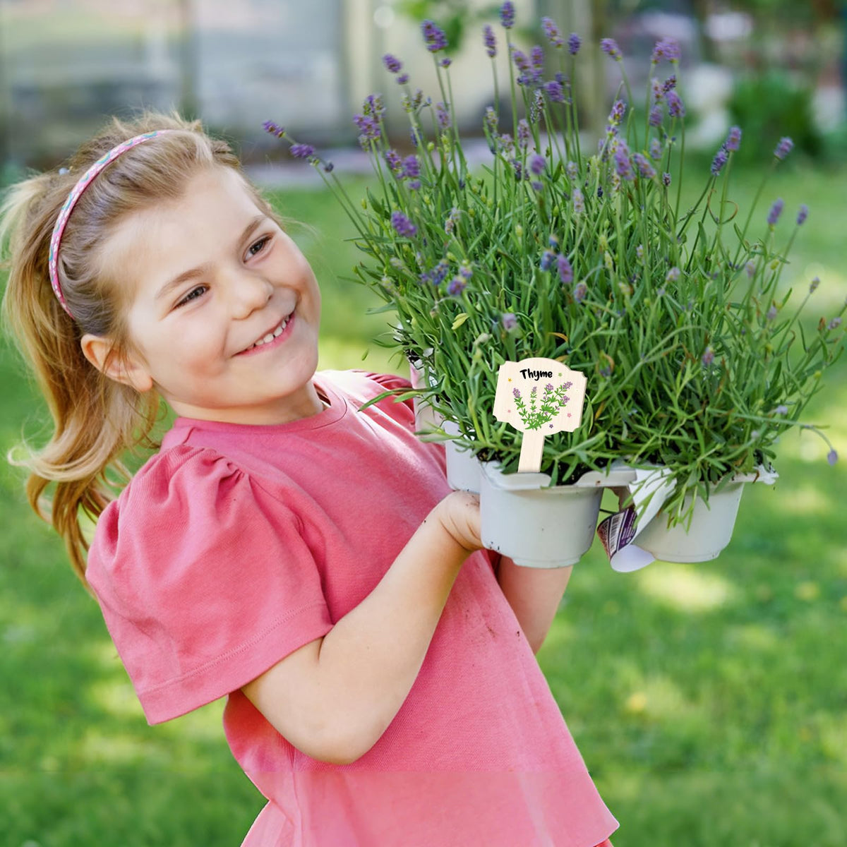 Abilat reusable markers support seasonal planting and simple reorganization.