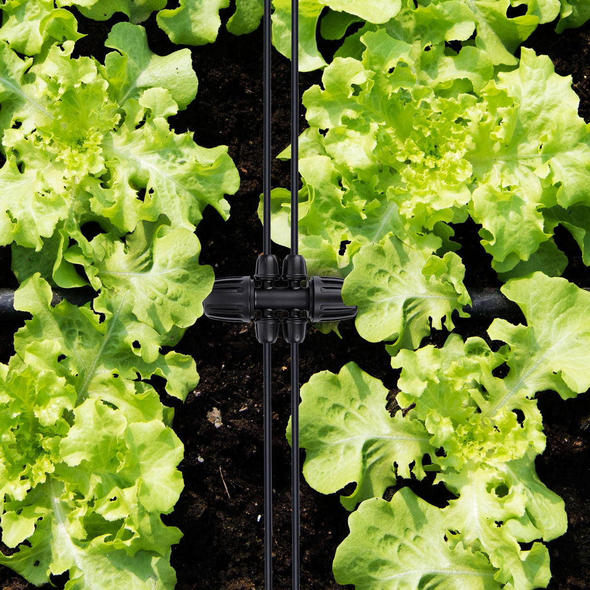 Abuntor drip tubing connectors in action for gardens.