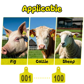 Abustle Pig ear tag 201-300 side view, easy identification.