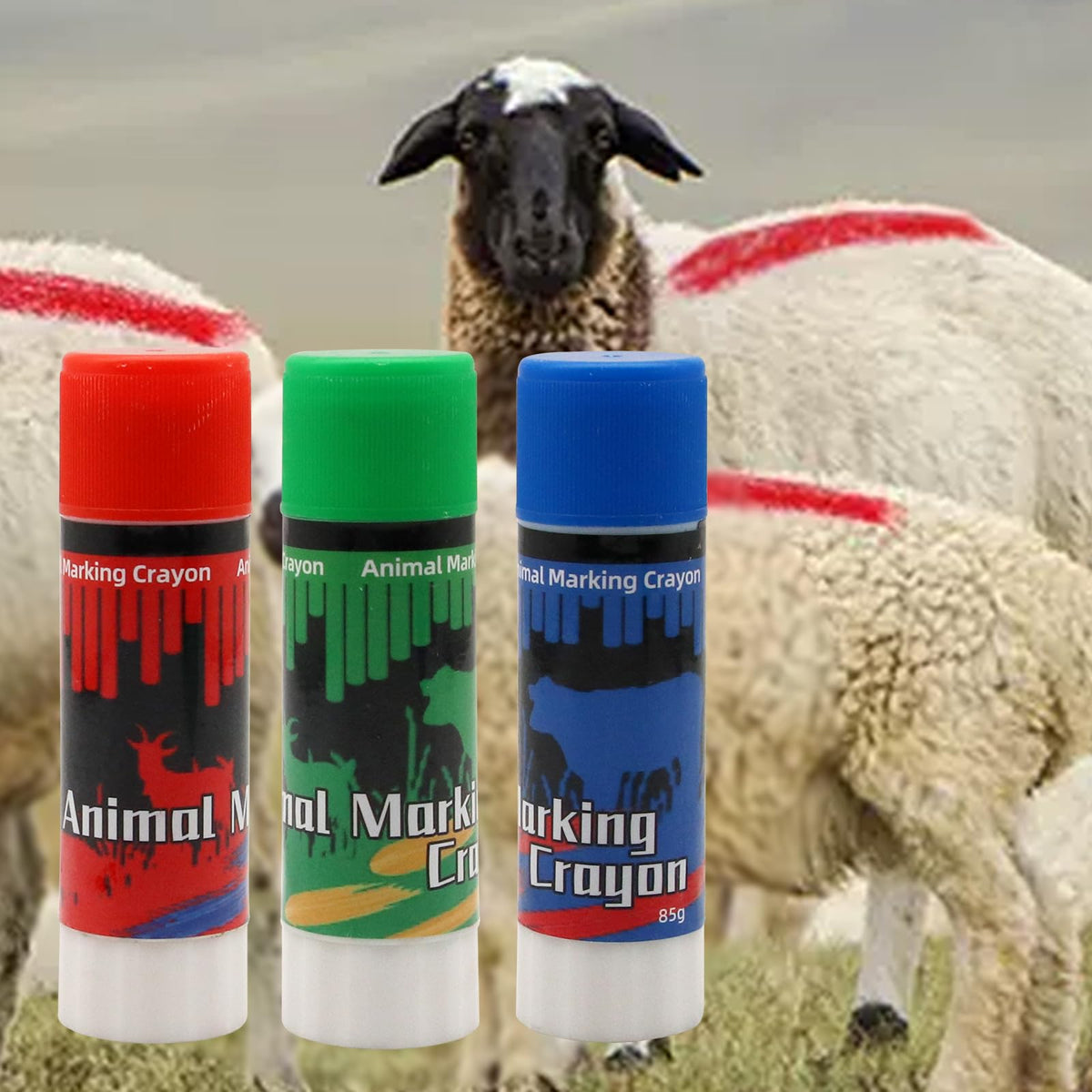 Abustle Pig Livestock Marker blue for high-visibility sorting and tracking.