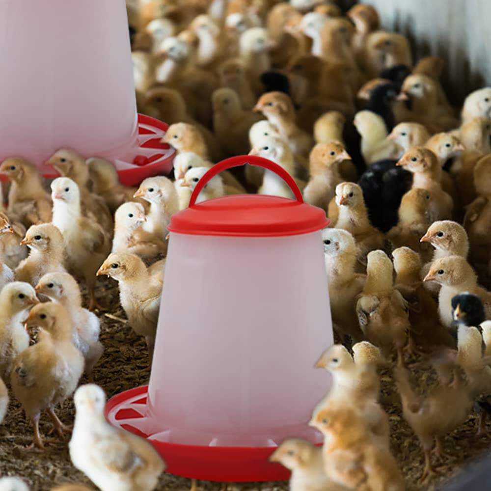 Abustle pig 1.5kg poultry feeder keeps up with small flock needs.