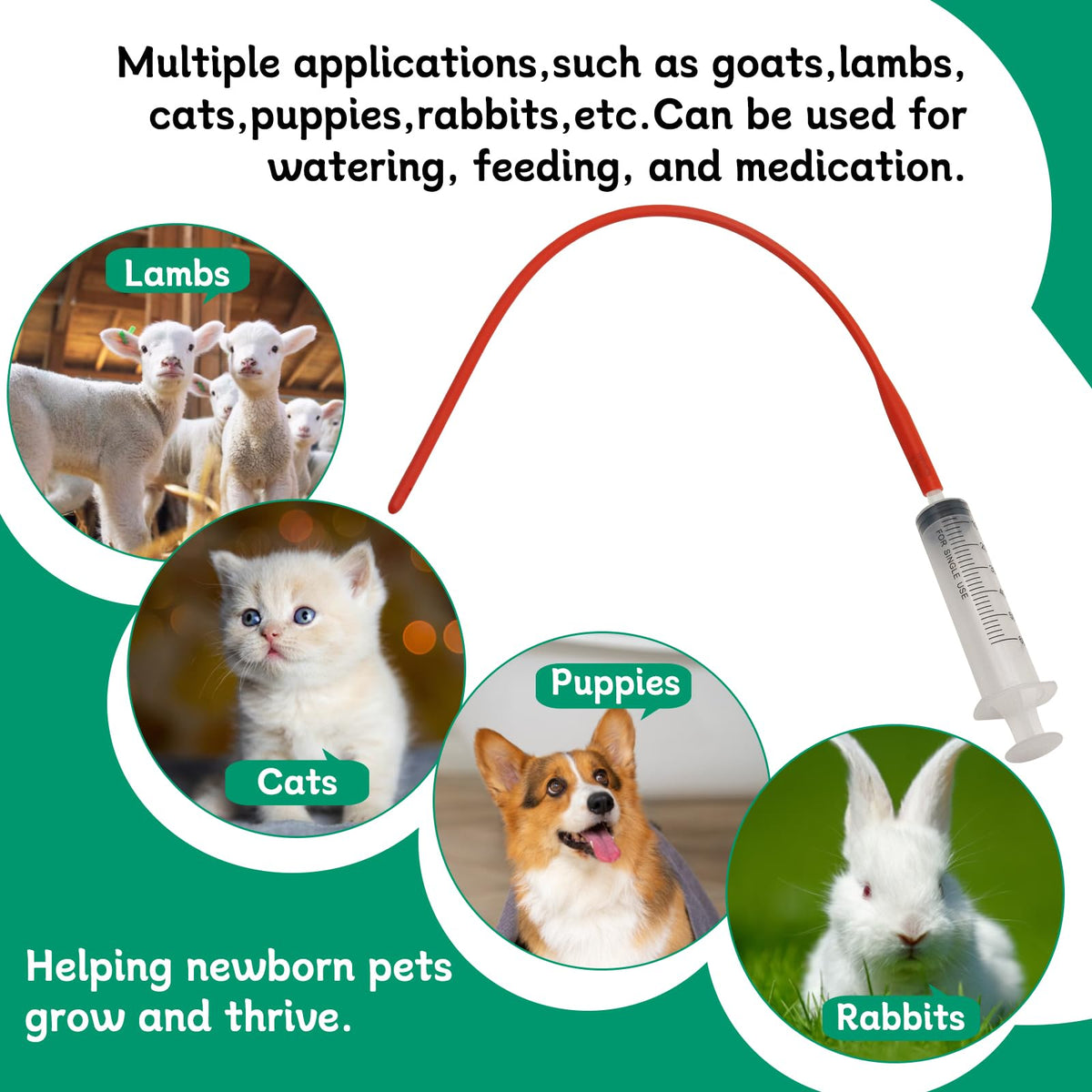 Abustle pig red feeding tube 16in ideal for gentle feeding of fragile lambs.