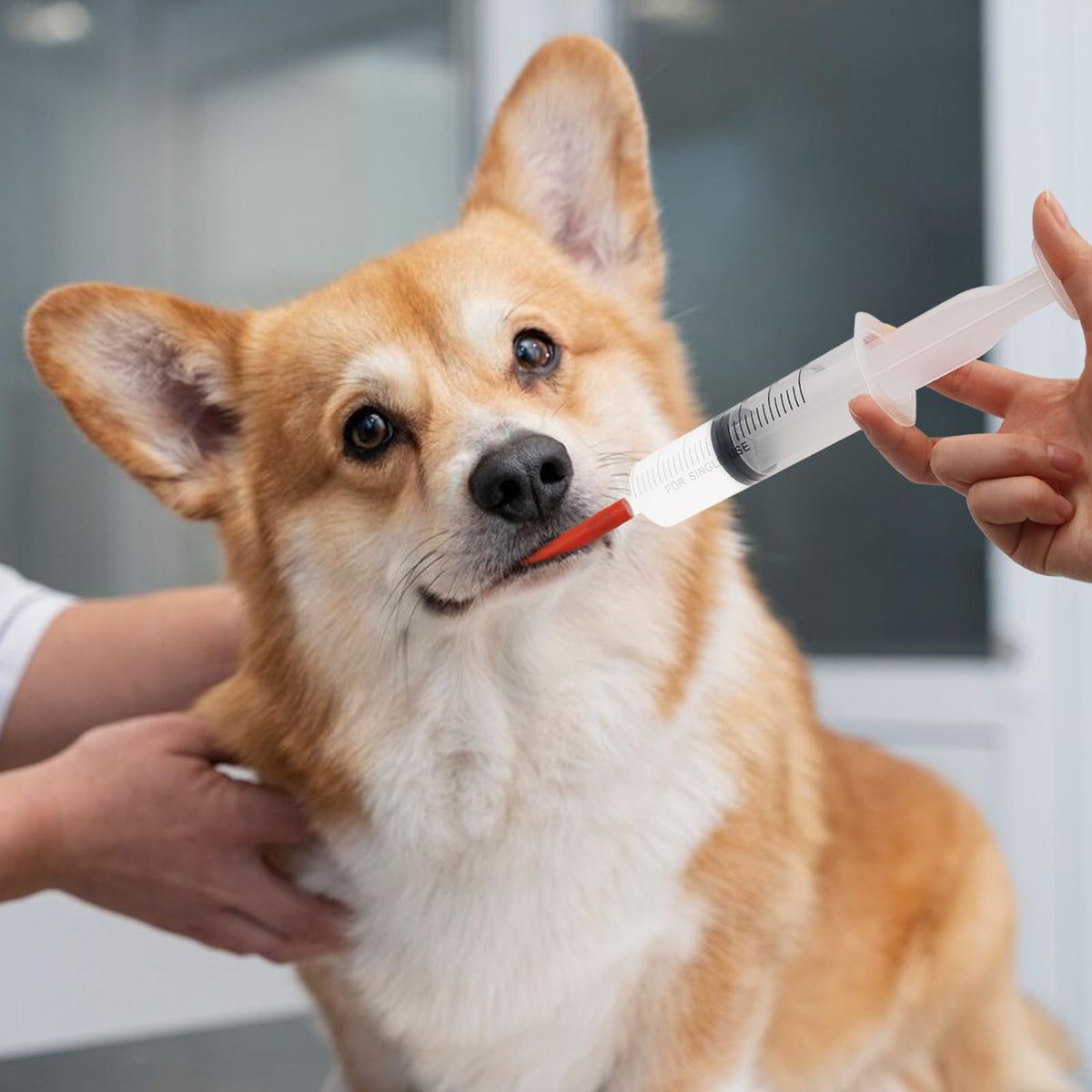 Abustle pig soft rubber tube prevents scratches during tube feeding.