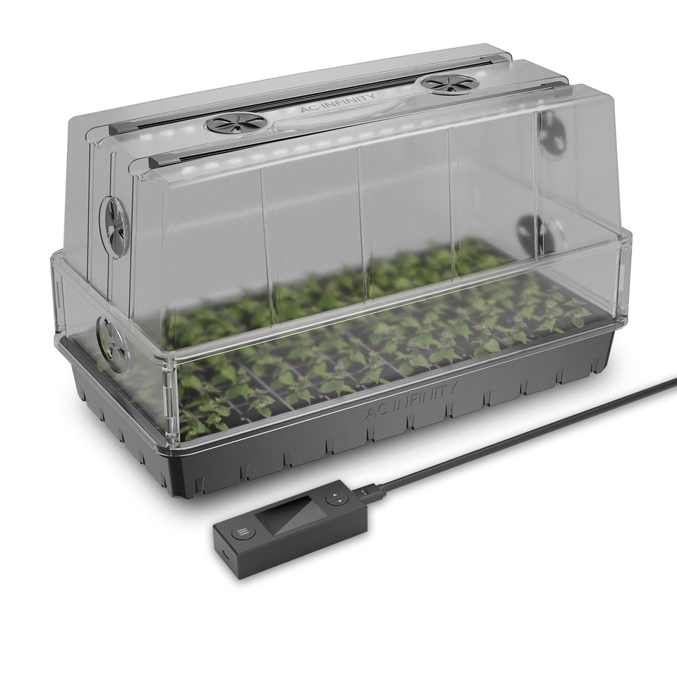 AC Infinity humidity dome over seed trays for moisture control.