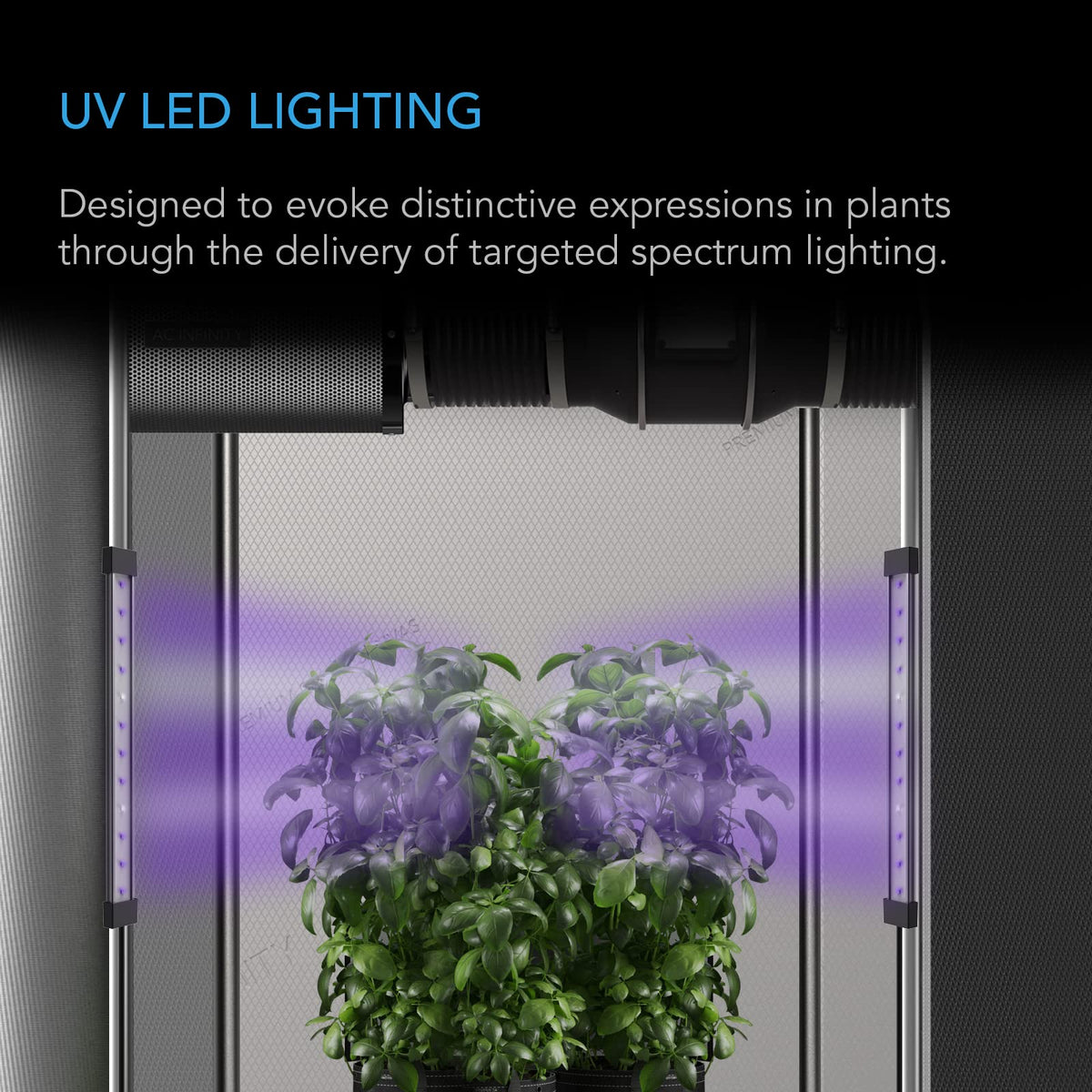 365nm and 395nm diodes for targeted UV light to support flowering cues.