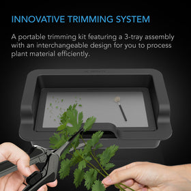 AC Infinity sorting tray showing workflow separation of leaves