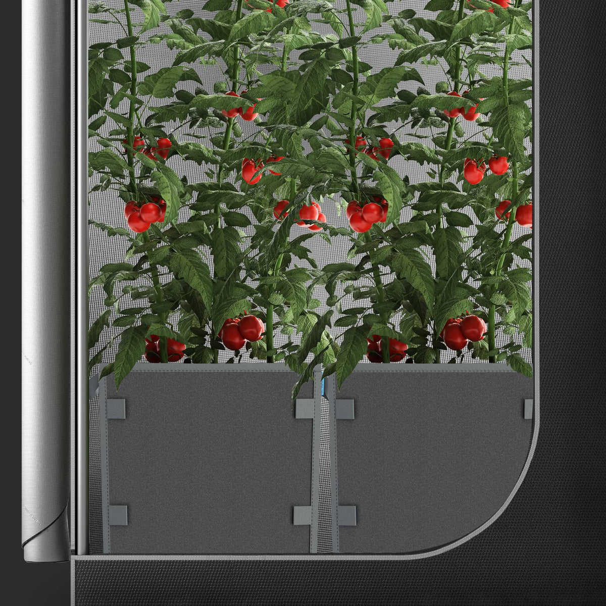 AC Infinity square heavy-duty fabric pots ready for garden setup with tomatoes and greens