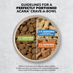 ACANA Wholesome Grains Duck & Pumpkin kibble ready to serve