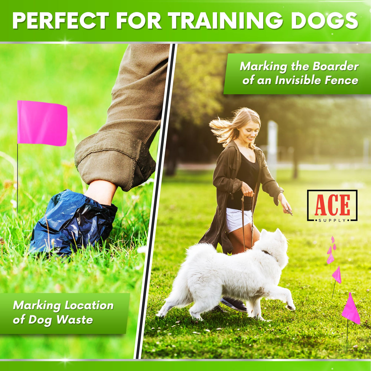 ACE Supply pink dog yard boundary flags for outdoor training