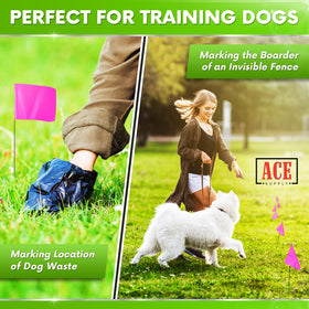 ACE Supply pink dog yard boundary flags for outdoor training